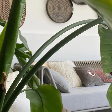 Apartment Luxury With Pool & Sea View-10 Minutes From Monaco Eze