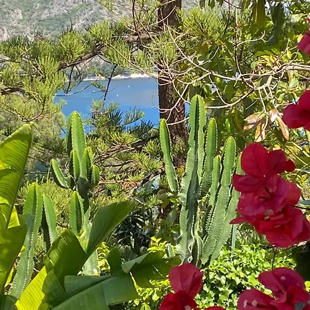 Villa De Luxe Vue Mer Piscine A Debordement * Eze